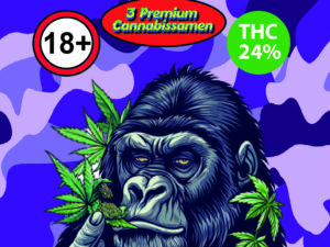 Gorilla Glue Automatic Cannabisseeds