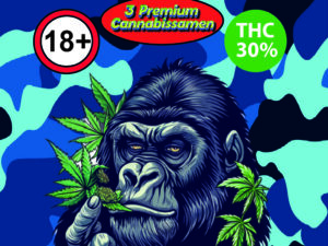 Medellin | Feminized | 3 SEEDS
