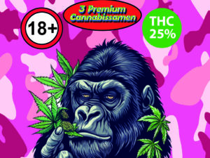 Mac 6 x Nicole Kush | Feminized | 3 SEEDS