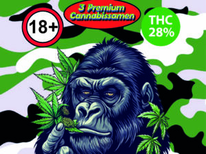 Zechem Cannabissamen 3er Pack