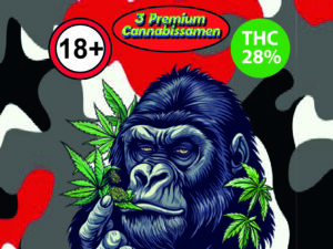 Zkittlez Cannabissamen 3er PAck