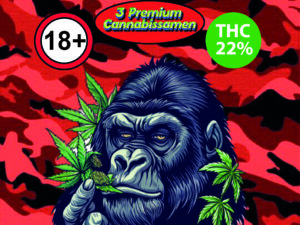 Chocolope | Automatic | 3 SEEDS