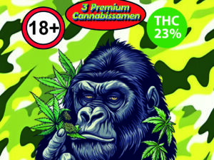 Girl Scout cookies Autoflowering Cannabissamen