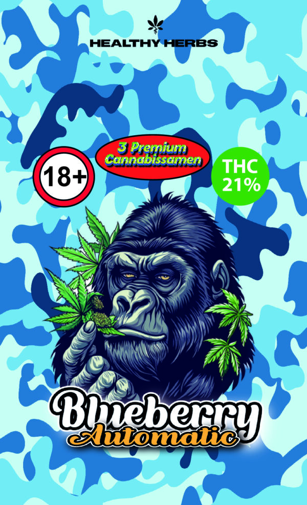 Blueberry Automatic Cannabissamen 3er Pack