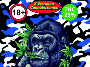 Ice Cream Cake | Feminised | 3er Pack