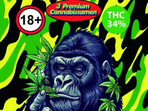 Permanent Marker | Autoflowering | 3 SEEDS